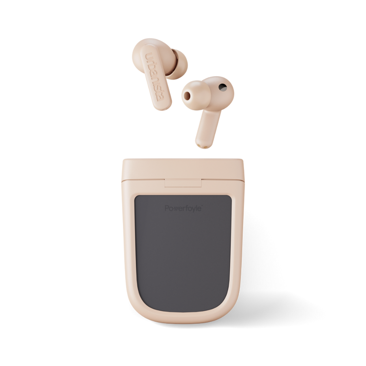 Phoenix_DESERT_ROSE-